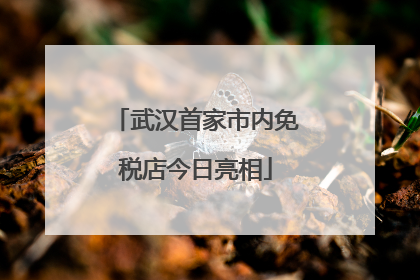 武汉首家市内免税店今日亮相